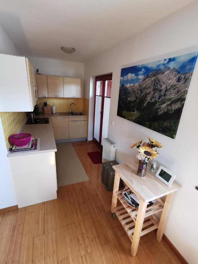 Apartma Neva ボーヒニ エクステリア 写真
