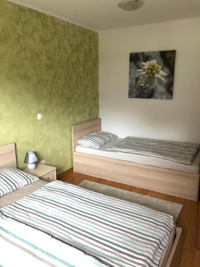 Apartma Neva ボーヒニ エクステリア 写真